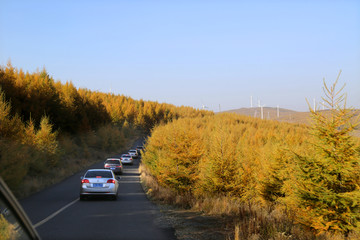 张家口市 草原天路