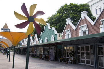 荷兰花卉小镇