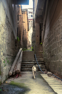 小巷 胡同 石板路