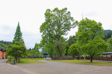 茅坪毛主席旧居
