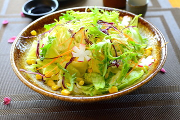 蔬菜沙拉