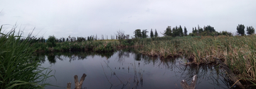 湿地公园风光全景