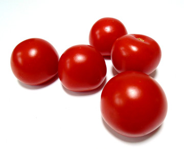 番茄 番茄图