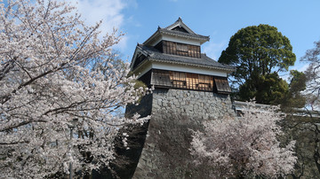 熊本城