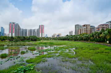 中澳友谊花园 公园