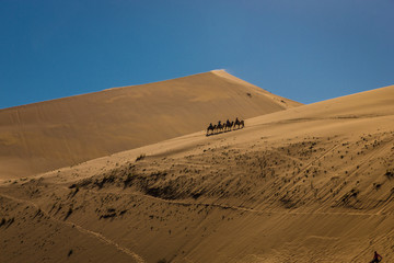 巴丹吉林沙漠 湖泊 9142