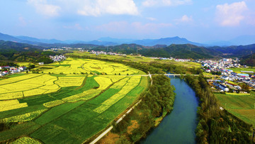 东庄油菜花宽幅