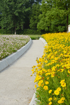 花园小路