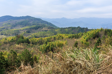 远山风光