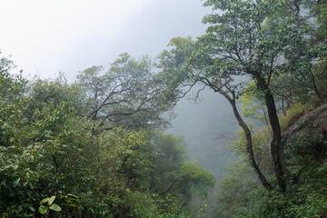 三清山风景