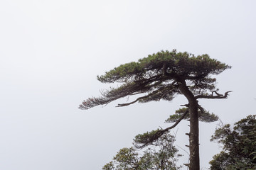 三清山风光