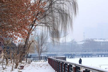 公园雪景