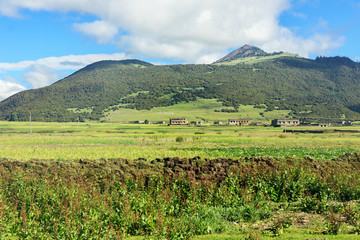 高山草原风景