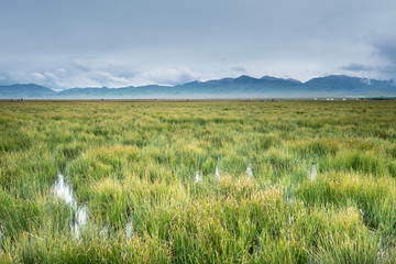 高原花湖