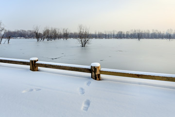 雪后的湿地公园