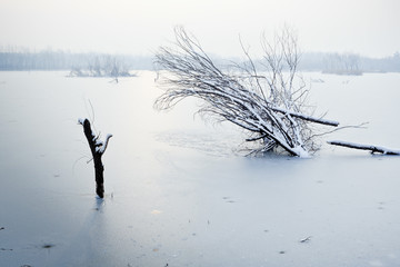 雪后的湿地