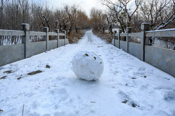 雪球