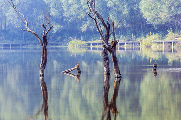 湿地秋景