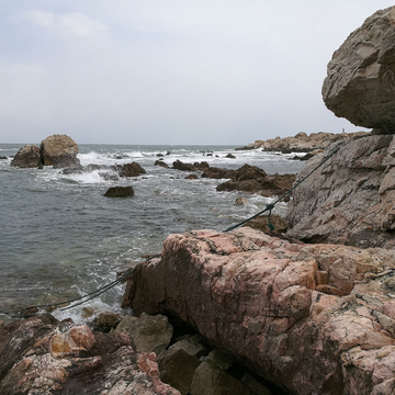 海岸岩礁