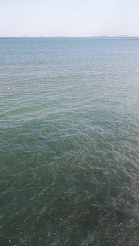 海的颜色