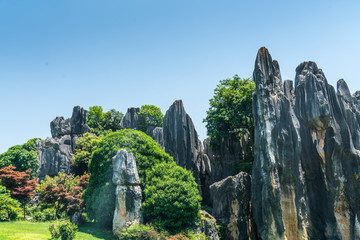 石林风景区