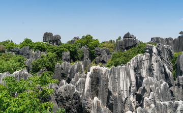 石林风景区