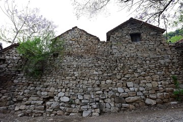山村古树石墙