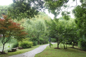草坪树木