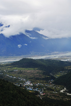 湿地 云山雾海