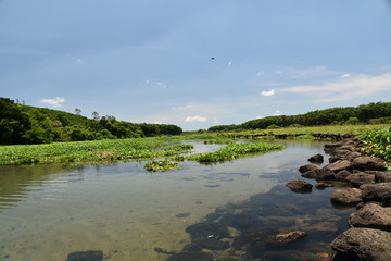 溪流