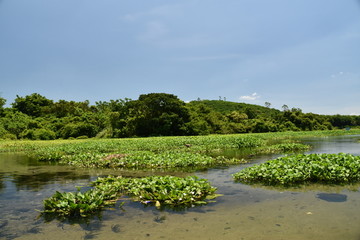 湿地公园