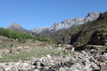 峡谷