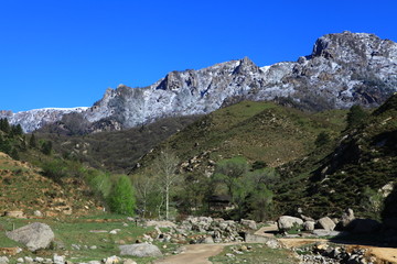 山地