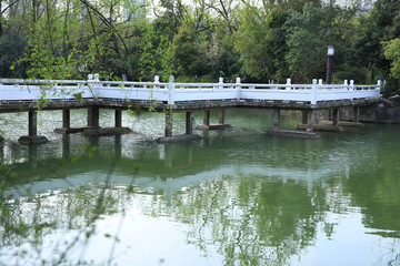 公园水上栈桥