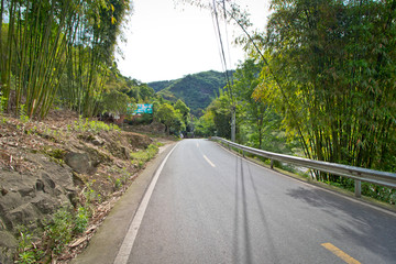竹林 马路