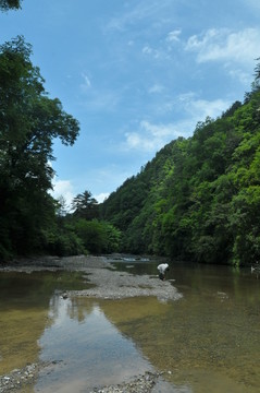 山谷