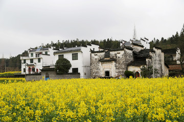 上饶市 婺源县 思溪延村景区