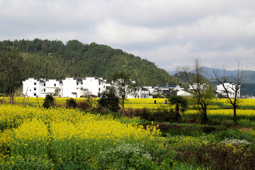 上饶市 婺源县 思溪延村景区