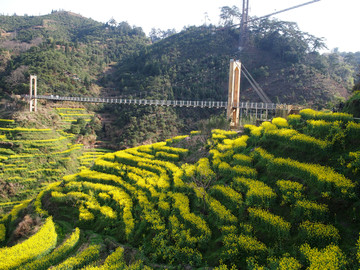 婺源县 篁岭景区 油菜花梯田