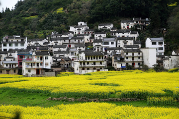 黄山市 歙县 山水画廊景区