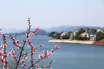 杭州市 淳安县 千岛湖