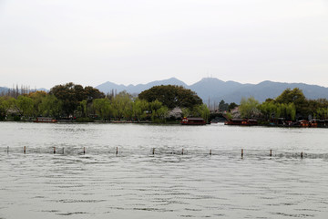 杭州市 西湖景区 春色