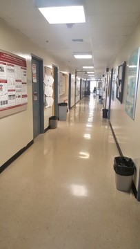 美国教室走廊
