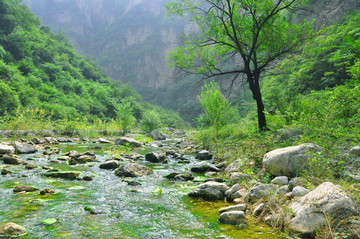 高山绿水