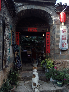 束河古镇店铺