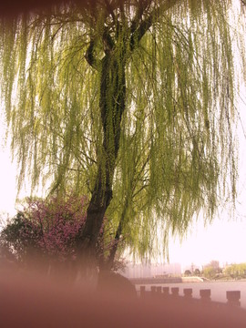 襄阳护城河