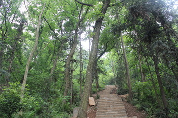 山路