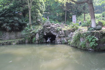 水面