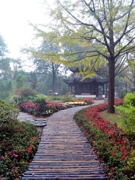 园林 花草 数目 楼阁 江南