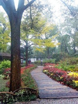 园林 花草 数目 楼阁 江南